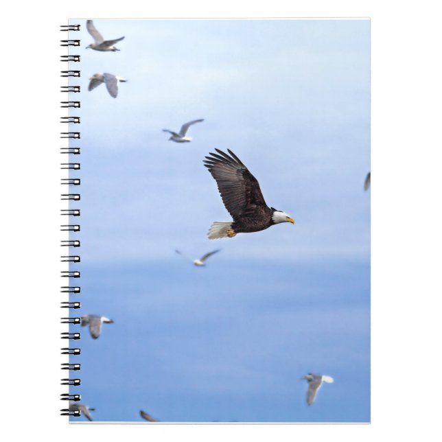 Eagle and Seagulls Flying Notebook (Front)