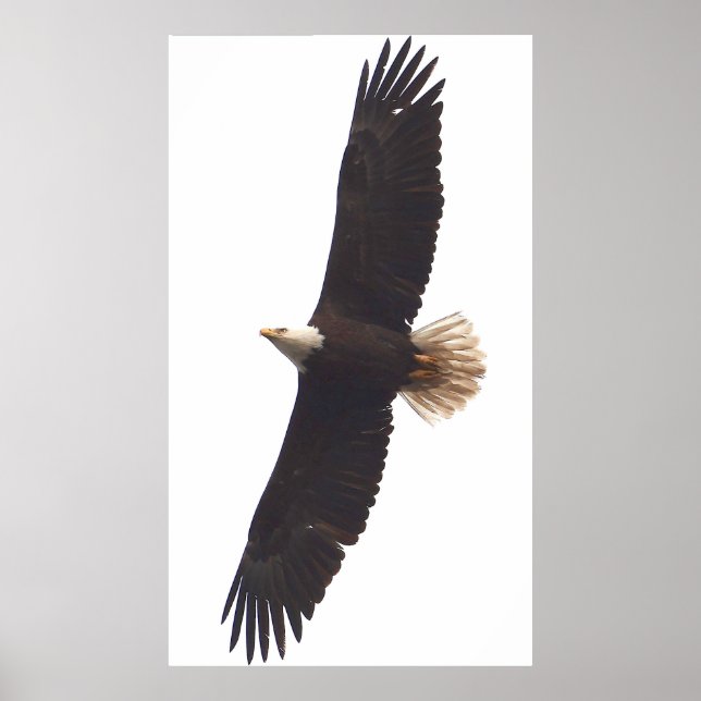 Eagle April 20, 2025 Poster (Front)