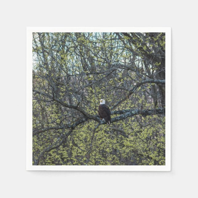 Eagle Awareness Napkin (Front)