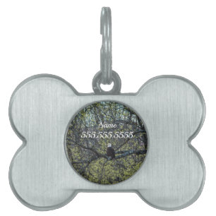 Eagle Awareness Pet ID Tag