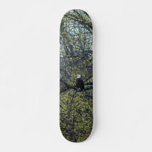 Eagle Awareness Skateboard