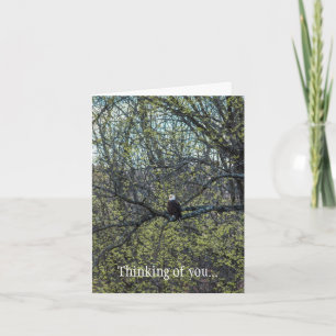 Eagle Awareness Thinking Of You Card