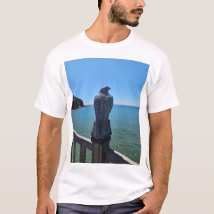 eagle basic T-shirts