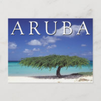 Eagle Beach | Caribbean, Aruba
