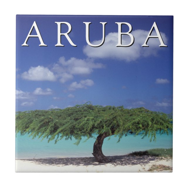 Eagle Beach | Caribbean, Aruba Tile (Front)