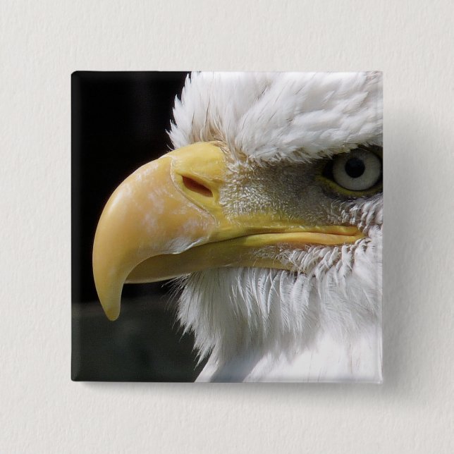 EAGLE BIRD OF PREY  15 CM SQUARE BADGE (Front)