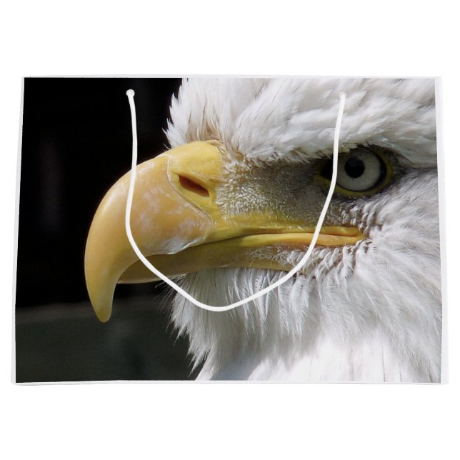 EAGLE BIRD OF PREY  LARGE GIFT BAG (Front)
