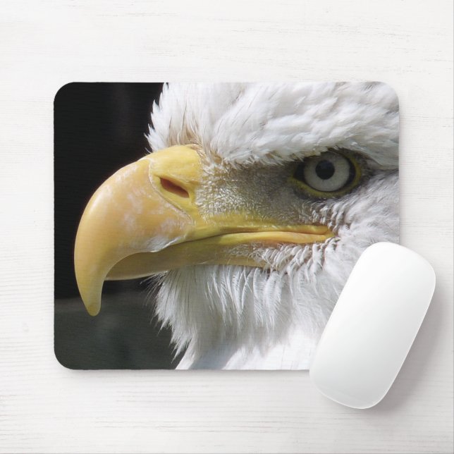 EAGLE BIRD OF PREY   MOUSE PAD (With Mouse)
