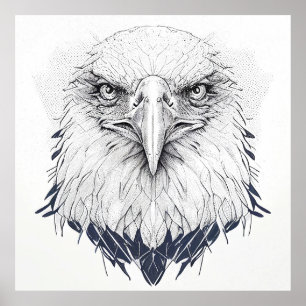 Eagle Bird Wild Nature Animal Illustration Art Poster