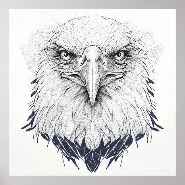 Eagle Bird Wild Nature Animal Illustration Art  Poster (Front)