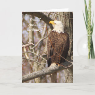 Eagle Birthday card