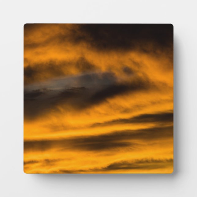 eagle burnout plaque (Front)