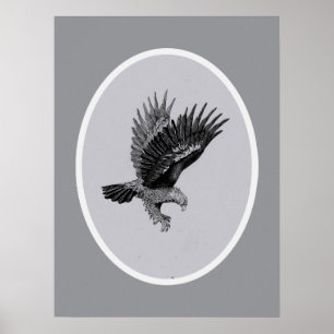 Eagle by Light Poster