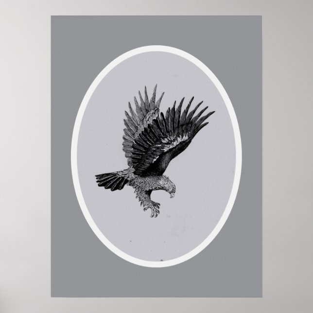 Eagle by Light    Poster (Front)