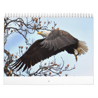 Eagle Calendar