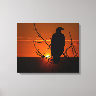 eagle canvas print