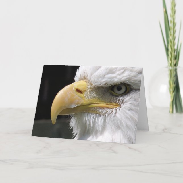 EAGLE   CARD (Front)