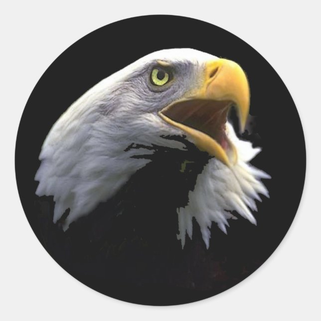 Eagle Classic Round Sticker (Front)