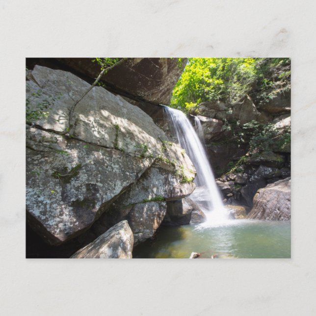 Eagle Cliff Falls, Kentucky Postcard (Front)