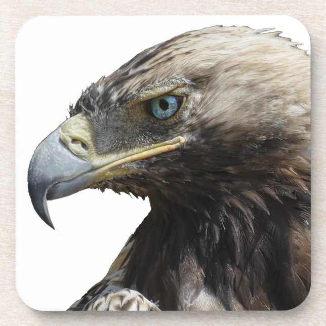 Eagle Coaster (Front)