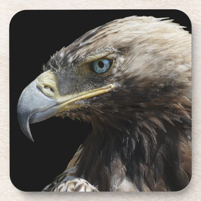 Eagle Coaster (Front)