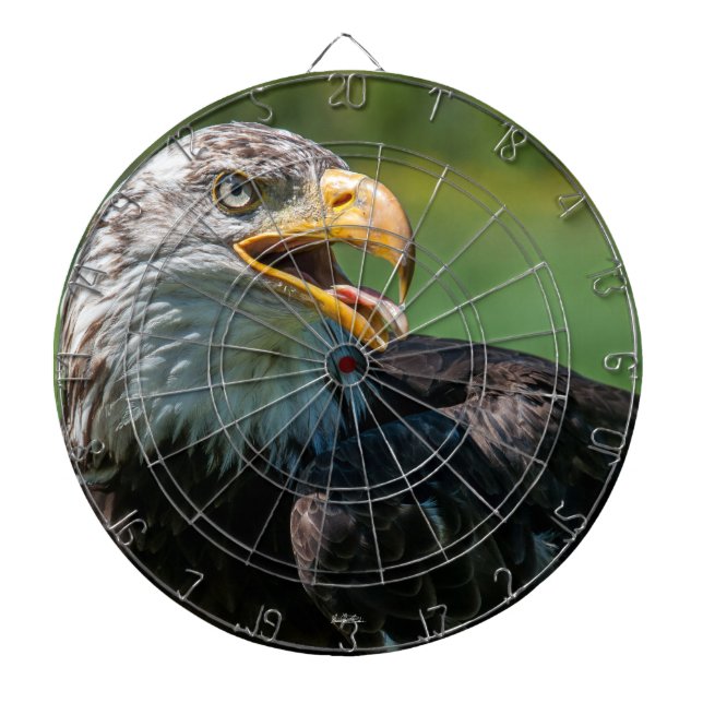 Eagle dart game dartboard (Front)