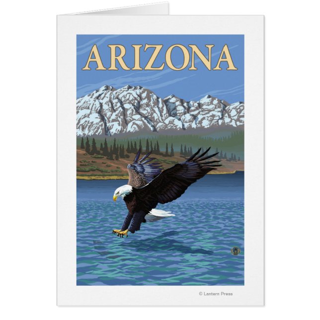Eagle DivingArizona (Front)
