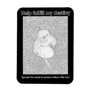 Eagle E14 Fulfil His Destiny Home Donation Magnet
