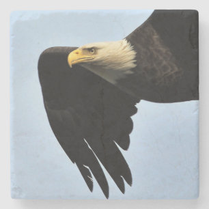 Eagle Eye Portrait Stone Coaster
