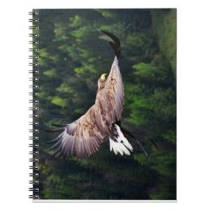Eagle Eye View Spiral Notebook