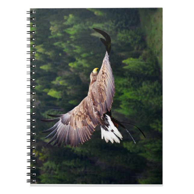 Eagle Eye View Spiral Notebook (Front)
