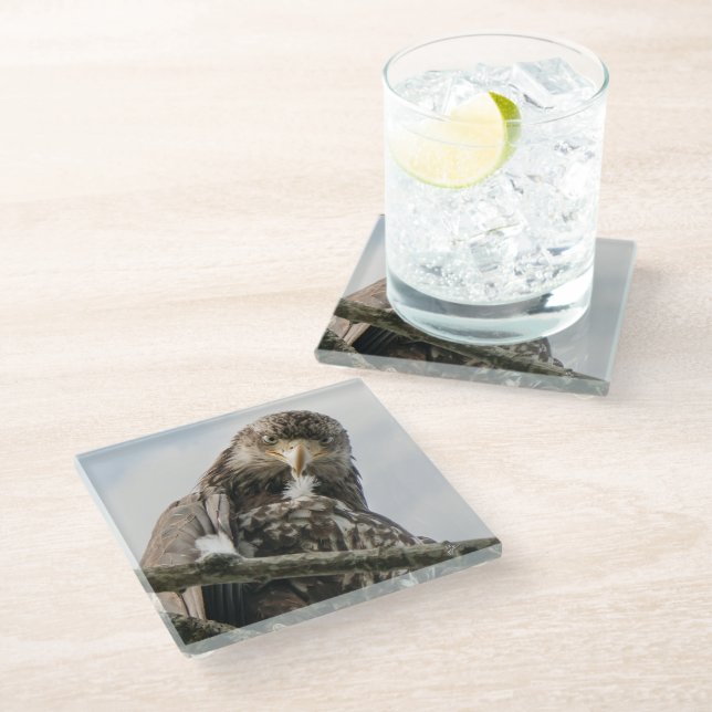  Eagle Face Funny Wildlife Bird Photography Glass Coaster (Angled)