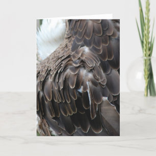 "Eagle Feathers" Greeting Card