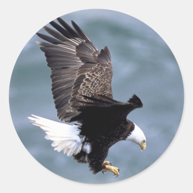 Eagle Flight Classic Round Sticker (Front)