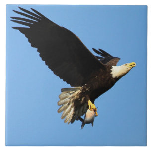 Eagle Flight Tile