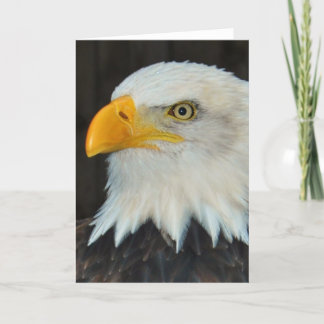 Eagle Head Greeting Card