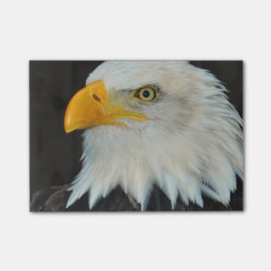 Eagle Head Post-it Notes