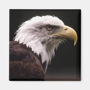 Eagle Head Study Magnet