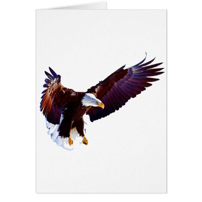 Eagle In Flight (Front)
