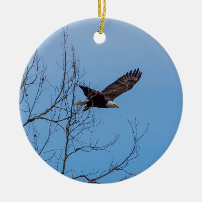 Eagle In Flight Ceramic Tree Decoration (Front)