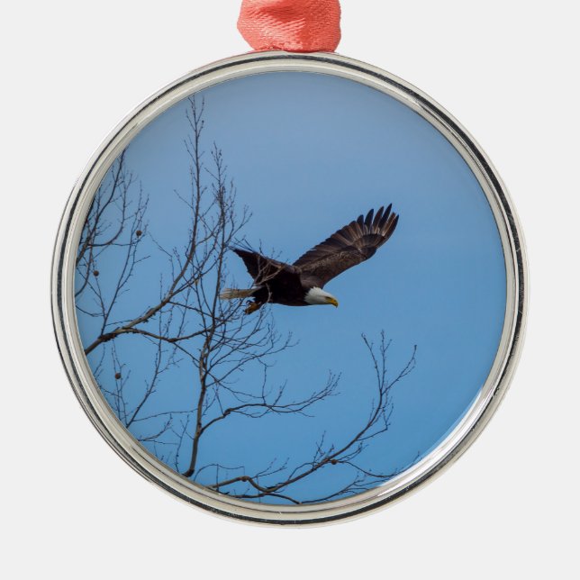 Eagle In Flight Metal Tree Decoration (Front)