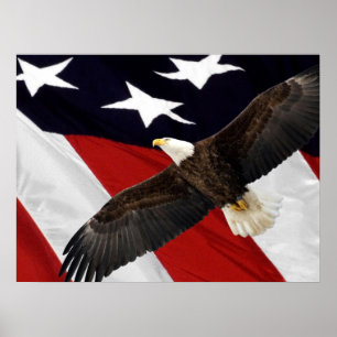 Eagle In Flight Over American Flag Poster