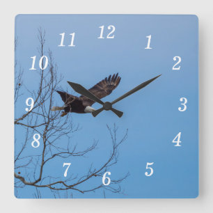 Eagle In Flight Wall Clock
