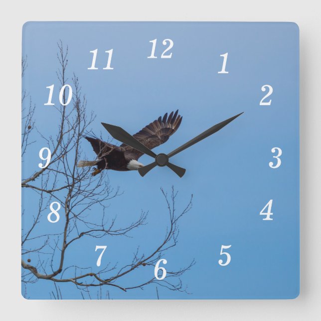 Eagle In Flight Wall Clock (Front)