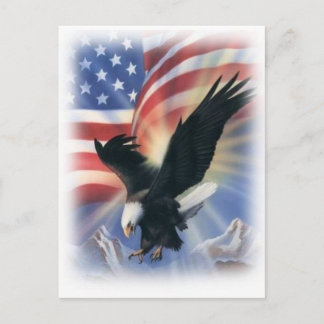 eagle in flight with flag postcard
