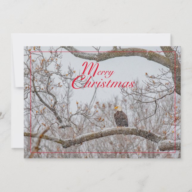 Eagle In Snowstorm Holiday Card (Front)