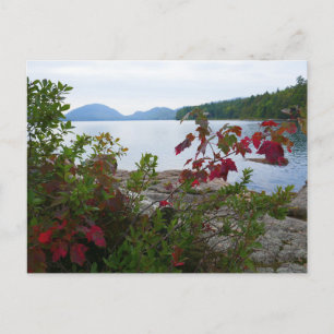 Eagle Lake and Red Maple Leaves I Postcard