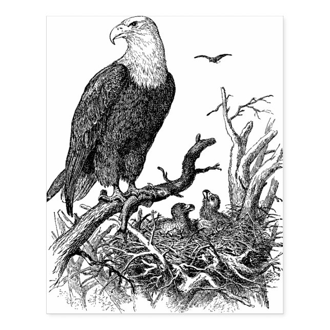 Eagle Large Card Making Rubber Stamp (Imprint)