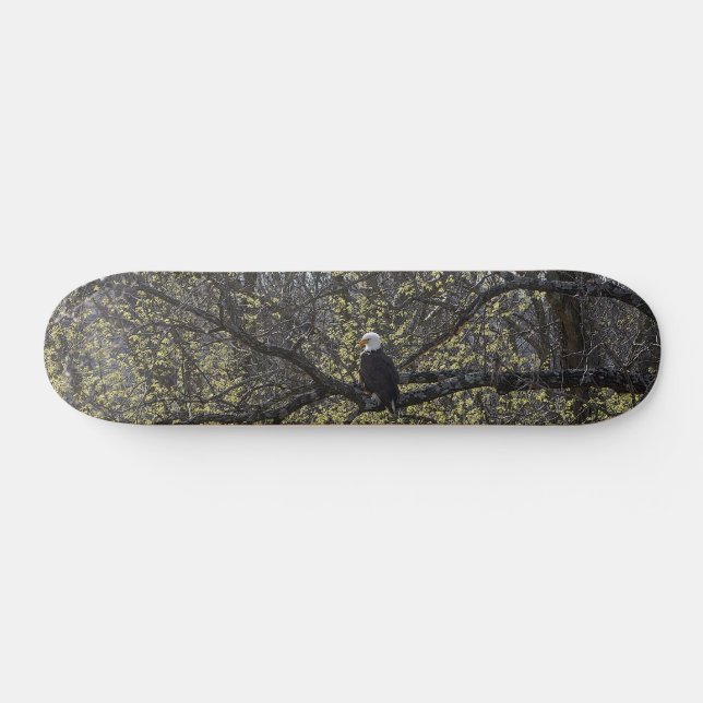 Eagle Lookout Painterly Skateboard (Horz)