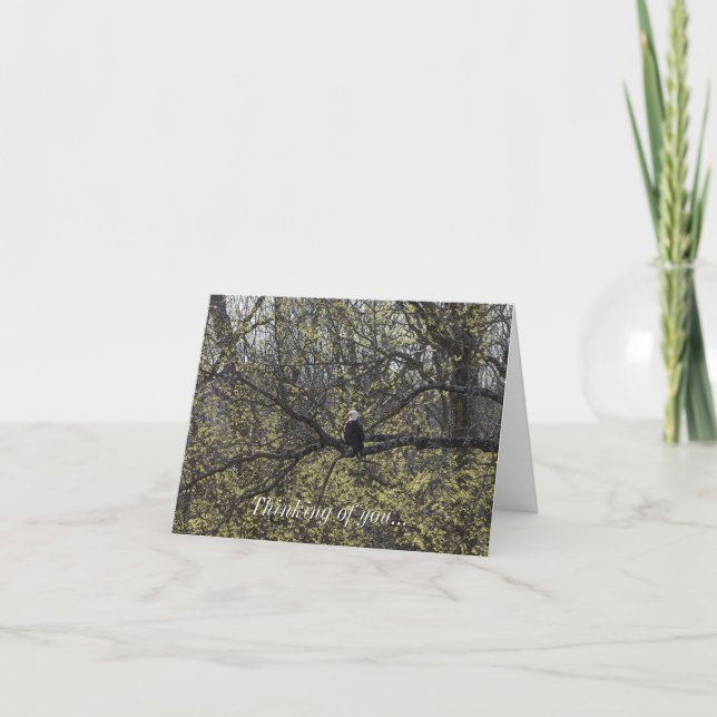 Eagle Lookout Painterly Thinking Of You Card (Front)